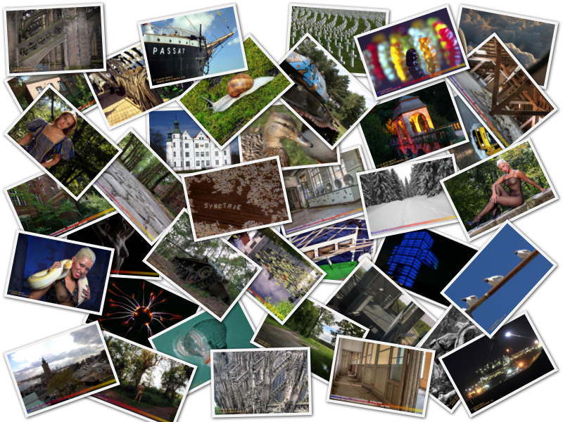 Alles andere, nur keine Flugzeuge! Burgen. Schl&ouml;sser. Kirchen. Stadtansichten. Friedh&ouml;fe. Verlassene Orte, Abandoned Places. Rostiges & Abondoned Wrecks. Nachtaufnahmen. Rheinbraun. Natur: Tiere (Wildlife), Tiere (Zoo), Pflanzen, Pilze, Flechten, Farne, Landschaften. Unwetter. Maritim: Segelschiffe, Tallship. Sandskulpturen. TableTop, Still-Life Studio. People: (Teil)Akt, Bodypainting, Studio oder Outdoor.