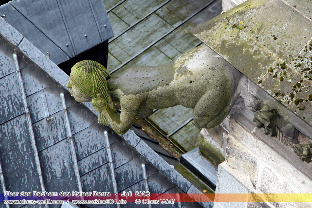 &Uuml;ber den D&auml;chern des K&ouml;lner Doms