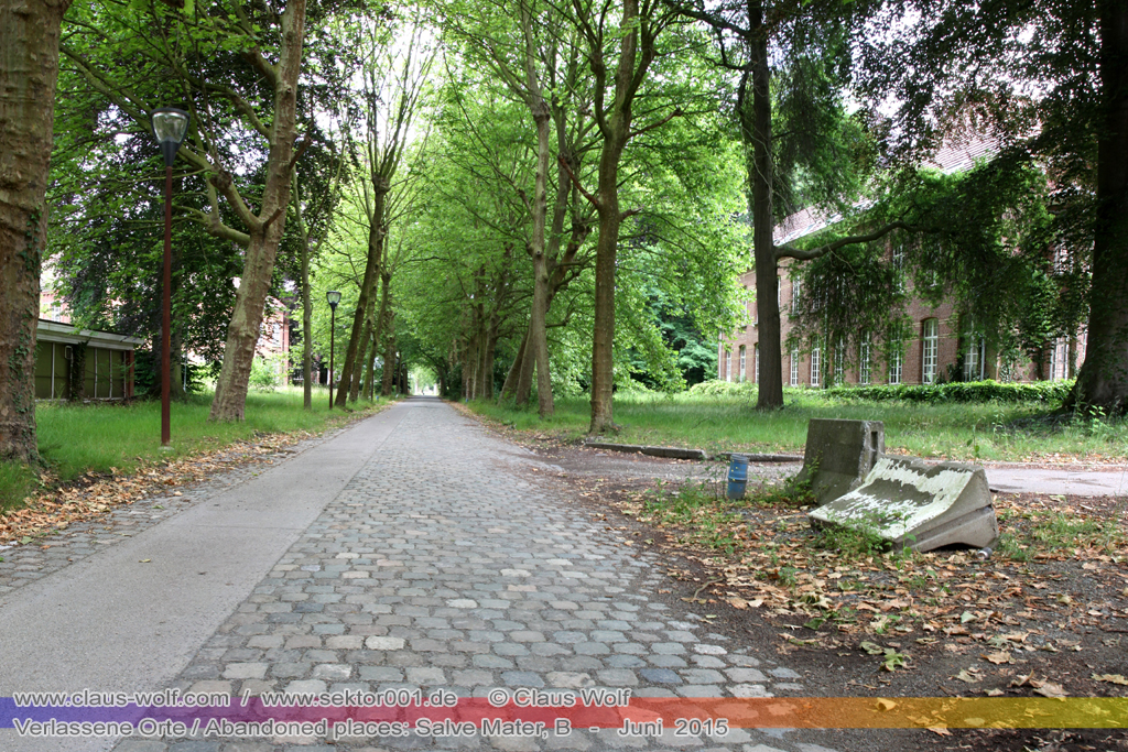 Salve Mater war eine psychiatrische Klinik f�r Frauen im "Groot Park" bei Leuven unweit von Br�ssel. Einst geh�rte das weitl�ufige Anwesen der Familie Spoelberch. Das 1750 errichtete Schloss der Familie ziert noch heute das Zentrum des Parks. Einer der Nachfahren der Familie � Maximilian de Spoelberch, der zwischen 1834 und 1873 B�rgermeister der Stadt Leuven war � hatte eine gro�e Vorliebe f�r Dendrologie. Insofern erweiterte er st�ndig das Anwesen durch Zukauf weiterer Grundst�cke und pflanzte im Park etliche exotische B�ume. Als Maximilian de Spoelberch das Zeitliche segnete hinterlie� er den gesamten Besitz seinen Sohn Charles. Ungl�cklicherweise verstarb dieser 1907 wenige Jahre nachdem er seine Erbschaft antrat, ohne selbst einen Erben zu hinterlassen. Die einzige Erbin, eine entfernte Cousine, schenkte 1915 das Anwesen der Katholischen Universit�t von Leuven. Diese wiederum gab das Geschenk an die "Schwestern der N�chstenliebe" von Gent weiter, die dort eine psychiatrische Klinik errichteten.