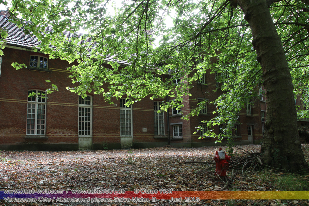 Salve Mater war eine psychiatrische Klinik f�r Frauen im "Groot Park" bei Leuven unweit von Br�ssel. Einst geh�rte das weitl�ufige Anwesen der Familie Spoelberch. Das 1750 errichtete Schloss der Familie ziert noch heute das Zentrum des Parks. Einer der Nachfahren der Familie � Maximilian de Spoelberch, der zwischen 1834 und 1873 B�rgermeister der Stadt Leuven war � hatte eine gro�e Vorliebe f�r Dendrologie. Insofern erweiterte er st�ndig das Anwesen durch Zukauf weiterer Grundst�cke und pflanzte im Park etliche exotische B�ume. Als Maximilian de Spoelberch das Zeitliche segnete hinterlie� er den gesamten Besitz seinen Sohn Charles. Ungl�cklicherweise verstarb dieser 1907 wenige Jahre nachdem er seine Erbschaft antrat, ohne selbst einen Erben zu hinterlassen. Die einzige Erbin, eine entfernte Cousine, schenkte 1915 das Anwesen der Katholischen Universit�t von Leuven. Diese wiederum gab das Geschenk an die "Schwestern der N�chstenliebe" von Gent weiter, die dort eine psychiatrische Klinik errichteten.