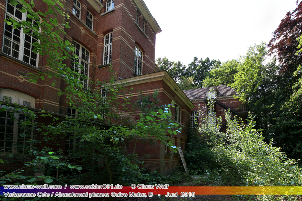 Salve Mater war eine psychiatrische Klinik f�r Frauen im "Groot Park" bei Leuven unweit von Br�ssel. Einst geh�rte das weitl�ufige Anwesen der Familie Spoelberch. Das 1750 errichtete Schloss der Familie ziert noch heute das Zentrum des Parks. Einer der Nachfahren der Familie � Maximilian de Spoelberch, der zwischen 1834 und 1873 B�rgermeister der Stadt Leuven war � hatte eine gro�e Vorliebe f�r Dendrologie. Insofern erweiterte er st�ndig das Anwesen durch Zukauf weiterer Grundst�cke und pflanzte im Park etliche exotische B�ume. Als Maximilian de Spoelberch das Zeitliche segnete hinterlie� er den gesamten Besitz seinen Sohn Charles. Ungl�cklicherweise verstarb dieser 1907 wenige Jahre nachdem er seine Erbschaft antrat, ohne selbst einen Erben zu hinterlassen. Die einzige Erbin, eine entfernte Cousine, schenkte 1915 das Anwesen der Katholischen Universit�t von Leuven. Diese wiederum gab das Geschenk an die "Schwestern der N�chstenliebe" von Gent weiter, die dort eine psychiatrische Klinik errichteten.