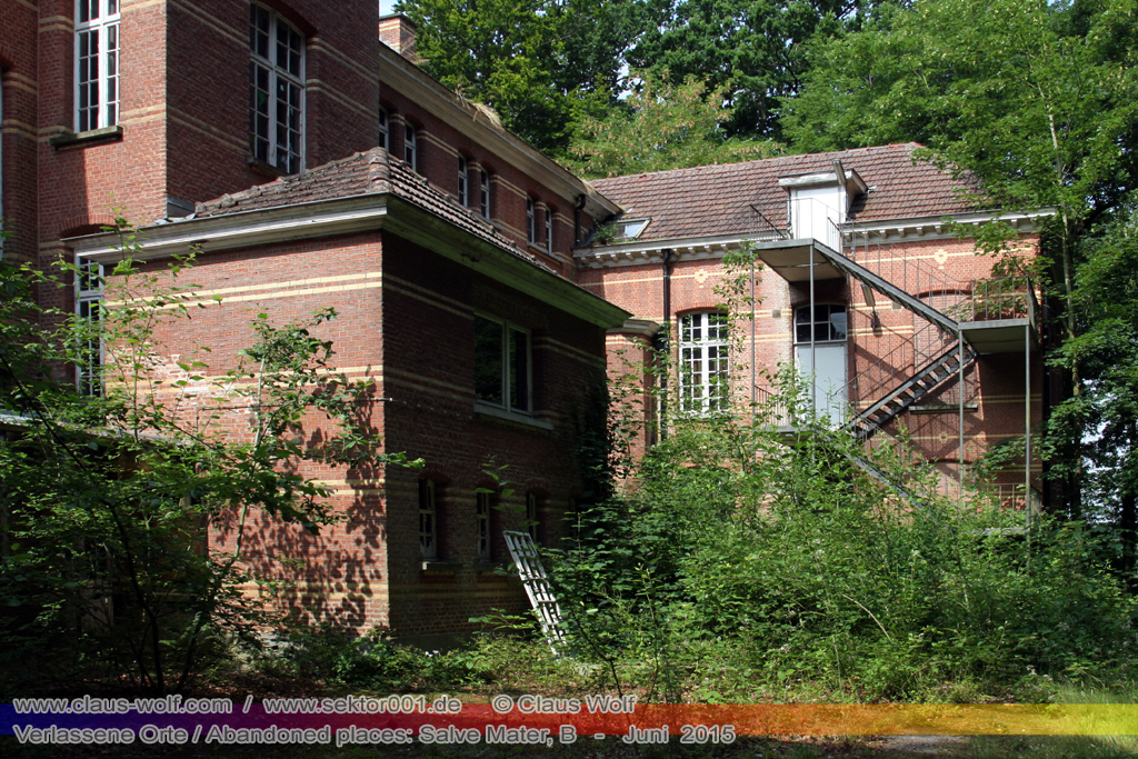 Salve Mater war eine psychiatrische Klinik f�r Frauen im "Groot Park" bei Leuven unweit von Br�ssel. Einst geh�rte das weitl�ufige Anwesen der Familie Spoelberch. Das 1750 errichtete Schloss der Familie ziert noch heute das Zentrum des Parks. Einer der Nachfahren der Familie � Maximilian de Spoelberch, der zwischen 1834 und 1873 B�rgermeister der Stadt Leuven war � hatte eine gro�e Vorliebe f�r Dendrologie. Insofern erweiterte er st�ndig das Anwesen durch Zukauf weiterer Grundst�cke und pflanzte im Park etliche exotische B�ume. Als Maximilian de Spoelberch das Zeitliche segnete hinterlie� er den gesamten Besitz seinen Sohn Charles. Ungl�cklicherweise verstarb dieser 1907 wenige Jahre nachdem er seine Erbschaft antrat, ohne selbst einen Erben zu hinterlassen. Die einzige Erbin, eine entfernte Cousine, schenkte 1915 das Anwesen der Katholischen Universit�t von Leuven. Diese wiederum gab das Geschenk an die "Schwestern der N�chstenliebe" von Gent weiter, die dort eine psychiatrische Klinik errichteten.