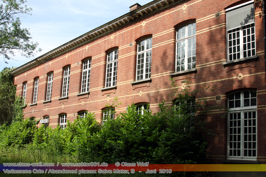 Salve Mater war eine psychiatrische Klinik f�r Frauen im "Groot Park" bei Leuven unweit von Br�ssel. Einst geh�rte das weitl�ufige Anwesen der Familie Spoelberch. Das 1750 errichtete Schloss der Familie ziert noch heute das Zentrum des Parks. Einer der Nachfahren der Familie � Maximilian de Spoelberch, der zwischen 1834 und 1873 B�rgermeister der Stadt Leuven war � hatte eine gro�e Vorliebe f�r Dendrologie. Insofern erweiterte er st�ndig das Anwesen durch Zukauf weiterer Grundst�cke und pflanzte im Park etliche exotische B�ume. Als Maximilian de Spoelberch das Zeitliche segnete hinterlie� er den gesamten Besitz seinen Sohn Charles. Ungl�cklicherweise verstarb dieser 1907 wenige Jahre nachdem er seine Erbschaft antrat, ohne selbst einen Erben zu hinterlassen. Die einzige Erbin, eine entfernte Cousine, schenkte 1915 das Anwesen der Katholischen Universit�t von Leuven. Diese wiederum gab das Geschenk an die "Schwestern der N�chstenliebe" von Gent weiter, die dort eine psychiatrische Klinik errichteten.