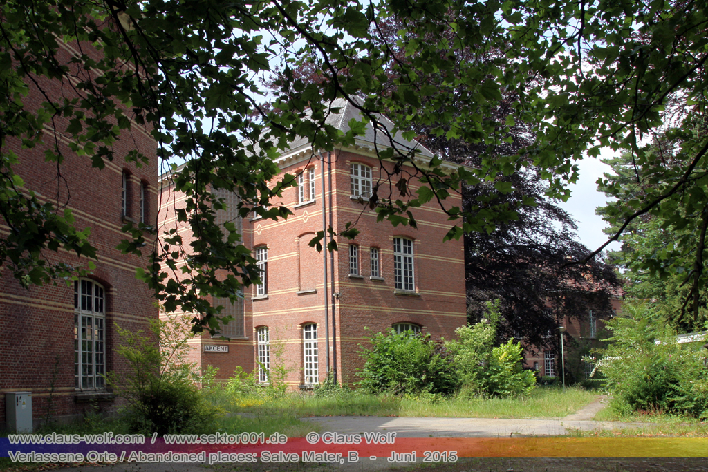 Salve Mater war eine psychiatrische Klinik f�r Frauen im "Groot Park" bei Leuven unweit von Br�ssel. Einst geh�rte das weitl�ufige Anwesen der Familie Spoelberch. Das 1750 errichtete Schloss der Familie ziert noch heute das Zentrum des Parks. Einer der Nachfahren der Familie � Maximilian de Spoelberch, der zwischen 1834 und 1873 B�rgermeister der Stadt Leuven war � hatte eine gro�e Vorliebe f�r Dendrologie. Insofern erweiterte er st�ndig das Anwesen durch Zukauf weiterer Grundst�cke und pflanzte im Park etliche exotische B�ume. Als Maximilian de Spoelberch das Zeitliche segnete hinterlie� er den gesamten Besitz seinen Sohn Charles. Ungl�cklicherweise verstarb dieser 1907 wenige Jahre nachdem er seine Erbschaft antrat, ohne selbst einen Erben zu hinterlassen. Die einzige Erbin, eine entfernte Cousine, schenkte 1915 das Anwesen der Katholischen Universit�t von Leuven. Diese wiederum gab das Geschenk an die "Schwestern der N�chstenliebe" von Gent weiter, die dort eine psychiatrische Klinik errichteten.