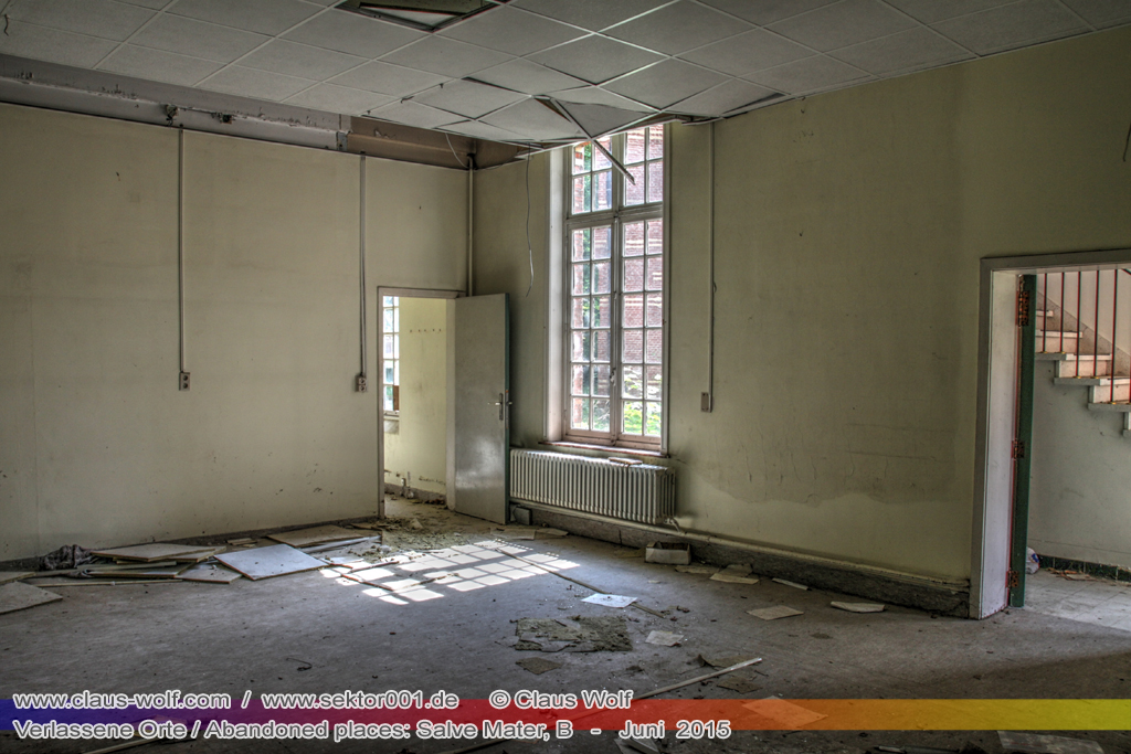 Salve Mater war eine psychiatrische Klinik f�r Frauen im "Groot Park" bei Leuven unweit von Br�ssel. Einst geh�rte das weitl�ufige Anwesen der Familie Spoelberch. Das 1750 errichtete Schloss der Familie ziert noch heute das Zentrum des Parks. Einer der Nachfahren der Familie � Maximilian de Spoelberch, der zwischen 1834 und 1873 B�rgermeister der Stadt Leuven war � hatte eine gro�e Vorliebe f�r Dendrologie. Insofern erweiterte er st�ndig das Anwesen durch Zukauf weiterer Grundst�cke und pflanzte im Park etliche exotische B�ume. Als Maximilian de Spoelberch das Zeitliche segnete hinterlie� er den gesamten Besitz seinen Sohn Charles. Ungl�cklicherweise verstarb dieser 1907 wenige Jahre nachdem er seine Erbschaft antrat, ohne selbst einen Erben zu hinterlassen. Die einzige Erbin, eine entfernte Cousine, schenkte 1915 das Anwesen der Katholischen Universit�t von Leuven. Diese wiederum gab das Geschenk an die "Schwestern der N�chstenliebe" von Gent weiter, die dort eine psychiatrische Klinik errichteten.