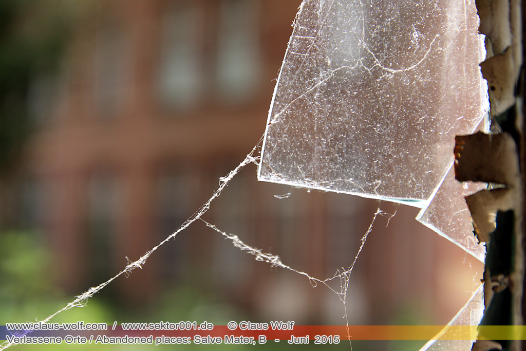 Salve Mater war eine psychiatrische Klinik f�r Frauen im "Groot Park" bei Leuven unweit von Br�ssel. Einst geh�rte das weitl�ufige Anwesen der Familie Spoelberch. Das 1750 errichtete Schloss der Familie ziert noch heute das Zentrum des Parks. Einer der Nachfahren der Familie � Maximilian de Spoelberch, der zwischen 1834 und 1873 B�rgermeister der Stadt Leuven war � hatte eine gro�e Vorliebe f�r Dendrologie. Insofern erweiterte er st�ndig das Anwesen durch Zukauf weiterer Grundst�cke und pflanzte im Park etliche exotische B�ume. Als Maximilian de Spoelberch das Zeitliche segnete hinterlie� er den gesamten Besitz seinen Sohn Charles. Ungl�cklicherweise verstarb dieser 1907 wenige Jahre nachdem er seine Erbschaft antrat, ohne selbst einen Erben zu hinterlassen. Die einzige Erbin, eine entfernte Cousine, schenkte 1915 das Anwesen der Katholischen Universit�t von Leuven. Diese wiederum gab das Geschenk an die "Schwestern der N�chstenliebe" von Gent weiter, die dort eine psychiatrische Klinik errichteten.