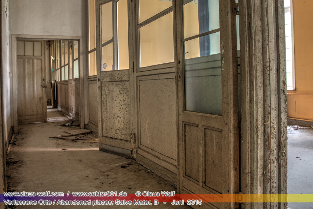 Salve Mater war eine psychiatrische Klinik f�r Frauen im "Groot Park" bei Leuven unweit von Br�ssel. Einst geh�rte das weitl�ufige Anwesen der Familie Spoelberch. Das 1750 errichtete Schloss der Familie ziert noch heute das Zentrum des Parks. Einer der Nachfahren der Familie � Maximilian de Spoelberch, der zwischen 1834 und 1873 B�rgermeister der Stadt Leuven war � hatte eine gro�e Vorliebe f�r Dendrologie. Insofern erweiterte er st�ndig das Anwesen durch Zukauf weiterer Grundst�cke und pflanzte im Park etliche exotische B�ume. Als Maximilian de Spoelberch das Zeitliche segnete hinterlie� er den gesamten Besitz seinen Sohn Charles. Ungl�cklicherweise verstarb dieser 1907 wenige Jahre nachdem er seine Erbschaft antrat, ohne selbst einen Erben zu hinterlassen. Die einzige Erbin, eine entfernte Cousine, schenkte 1915 das Anwesen der Katholischen Universit�t von Leuven. Diese wiederum gab das Geschenk an die "Schwestern der N�chstenliebe" von Gent weiter, die dort eine psychiatrische Klinik errichteten.