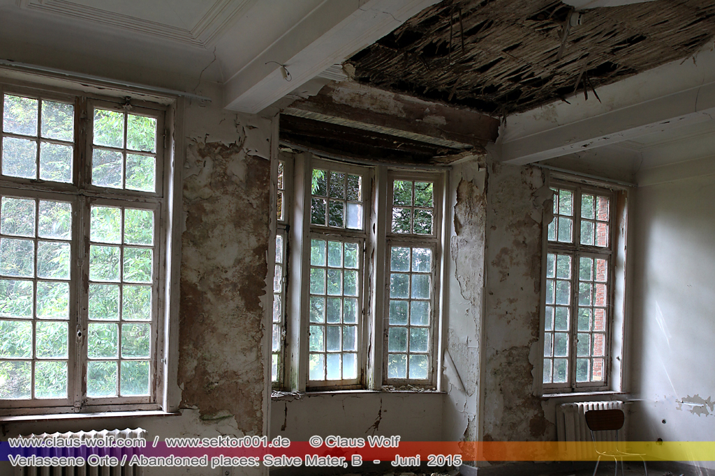 Salve Mater war eine psychiatrische Klinik f�r Frauen im "Groot Park" bei Leuven unweit von Br�ssel. Einst geh�rte das weitl�ufige Anwesen der Familie Spoelberch. Das 1750 errichtete Schloss der Familie ziert noch heute das Zentrum des Parks. Einer der Nachfahren der Familie � Maximilian de Spoelberch, der zwischen 1834 und 1873 B�rgermeister der Stadt Leuven war � hatte eine gro�e Vorliebe f�r Dendrologie. Insofern erweiterte er st�ndig das Anwesen durch Zukauf weiterer Grundst�cke und pflanzte im Park etliche exotische B�ume. Als Maximilian de Spoelberch das Zeitliche segnete hinterlie� er den gesamten Besitz seinen Sohn Charles. Ungl�cklicherweise verstarb dieser 1907 wenige Jahre nachdem er seine Erbschaft antrat, ohne selbst einen Erben zu hinterlassen. Die einzige Erbin, eine entfernte Cousine, schenkte 1915 das Anwesen der Katholischen Universit�t von Leuven. Diese wiederum gab das Geschenk an die "Schwestern der N�chstenliebe" von Gent weiter, die dort eine psychiatrische Klinik errichteten.