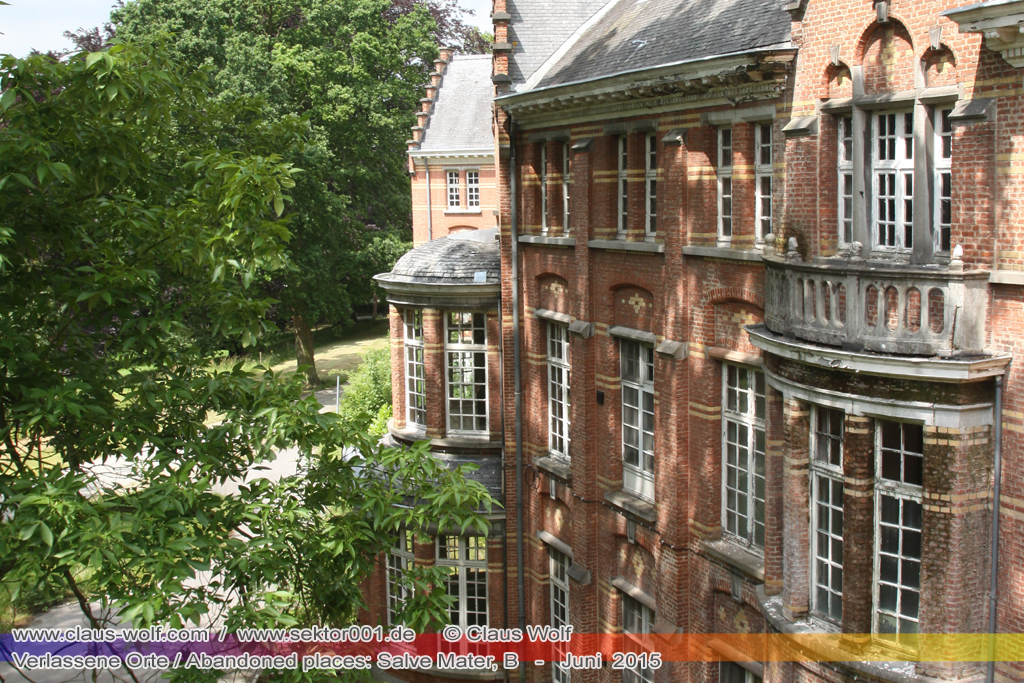 Salve Mater war eine psychiatrische Klinik f�r Frauen im "Groot Park" bei Leuven unweit von Br�ssel. Einst geh�rte das weitl�ufige Anwesen der Familie Spoelberch. Das 1750 errichtete Schloss der Familie ziert noch heute das Zentrum des Parks. Einer der Nachfahren der Familie � Maximilian de Spoelberch, der zwischen 1834 und 1873 B�rgermeister der Stadt Leuven war � hatte eine gro�e Vorliebe f�r Dendrologie. Insofern erweiterte er st�ndig das Anwesen durch Zukauf weiterer Grundst�cke und pflanzte im Park etliche exotische B�ume. Als Maximilian de Spoelberch das Zeitliche segnete hinterlie� er den gesamten Besitz seinen Sohn Charles. Ungl�cklicherweise verstarb dieser 1907 wenige Jahre nachdem er seine Erbschaft antrat, ohne selbst einen Erben zu hinterlassen. Die einzige Erbin, eine entfernte Cousine, schenkte 1915 das Anwesen der Katholischen Universit�t von Leuven. Diese wiederum gab das Geschenk an die "Schwestern der N�chstenliebe" von Gent weiter, die dort eine psychiatrische Klinik errichteten.