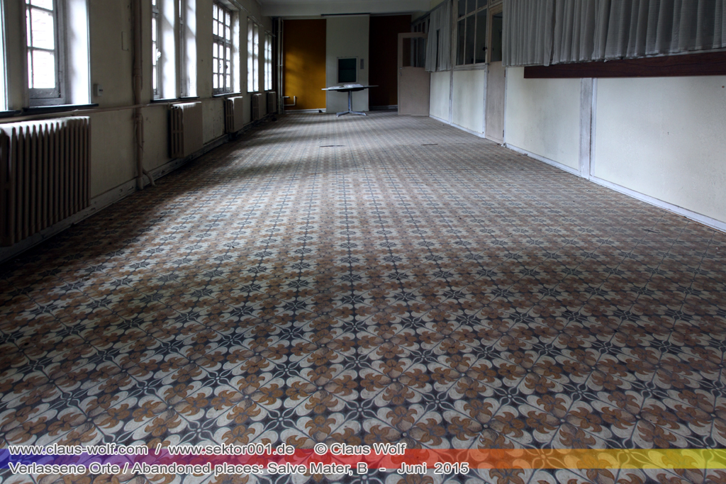 Salve Mater war eine psychiatrische Klinik f�r Frauen im "Groot Park" bei Leuven unweit von Br�ssel. Einst geh�rte das weitl�ufige Anwesen der Familie Spoelberch. Das 1750 errichtete Schloss der Familie ziert noch heute das Zentrum des Parks. Einer der Nachfahren der Familie � Maximilian de Spoelberch, der zwischen 1834 und 1873 B�rgermeister der Stadt Leuven war � hatte eine gro�e Vorliebe f�r Dendrologie. Insofern erweiterte er st�ndig das Anwesen durch Zukauf weiterer Grundst�cke und pflanzte im Park etliche exotische B�ume. Als Maximilian de Spoelberch das Zeitliche segnete hinterlie� er den gesamten Besitz seinen Sohn Charles. Ungl�cklicherweise verstarb dieser 1907 wenige Jahre nachdem er seine Erbschaft antrat, ohne selbst einen Erben zu hinterlassen. Die einzige Erbin, eine entfernte Cousine, schenkte 1915 das Anwesen der Katholischen Universit�t von Leuven. Diese wiederum gab das Geschenk an die "Schwestern der N�chstenliebe" von Gent weiter, die dort eine psychiatrische Klinik errichteten.