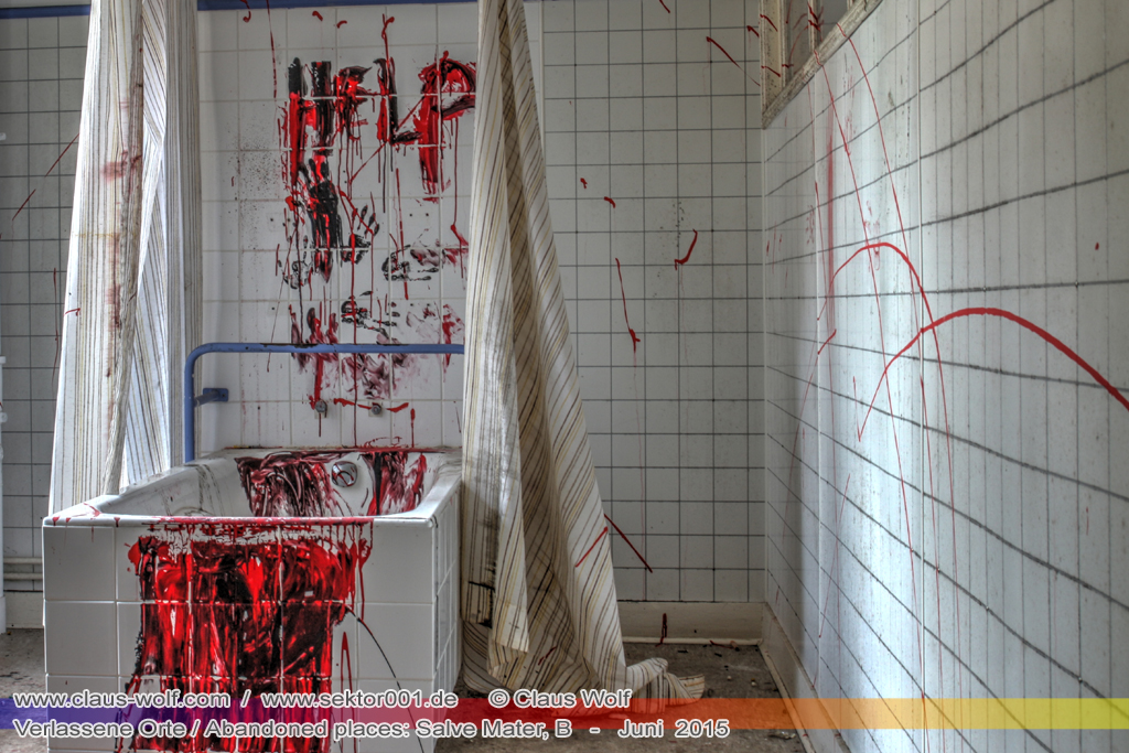 Salve Mater war eine psychiatrische Klinik f�r Frauen im "Groot Park" bei Leuven unweit von Br�ssel. Einst geh�rte das weitl�ufige Anwesen der Familie Spoelberch. Das 1750 errichtete Schloss der Familie ziert noch heute das Zentrum des Parks. Einer der Nachfahren der Familie � Maximilian de Spoelberch, der zwischen 1834 und 1873 B�rgermeister der Stadt Leuven war � hatte eine gro�e Vorliebe f�r Dendrologie. Insofern erweiterte er st�ndig das Anwesen durch Zukauf weiterer Grundst�cke und pflanzte im Park etliche exotische B�ume. Als Maximilian de Spoelberch das Zeitliche segnete hinterlie� er den gesamten Besitz seinen Sohn Charles. Ungl�cklicherweise verstarb dieser 1907 wenige Jahre nachdem er seine Erbschaft antrat, ohne selbst einen Erben zu hinterlassen. Die einzige Erbin, eine entfernte Cousine, schenkte 1915 das Anwesen der Katholischen Universit�t von Leuven. Diese wiederum gab das Geschenk an die "Schwestern der N�chstenliebe" von Gent weiter, die dort eine psychiatrische Klinik errichteten.