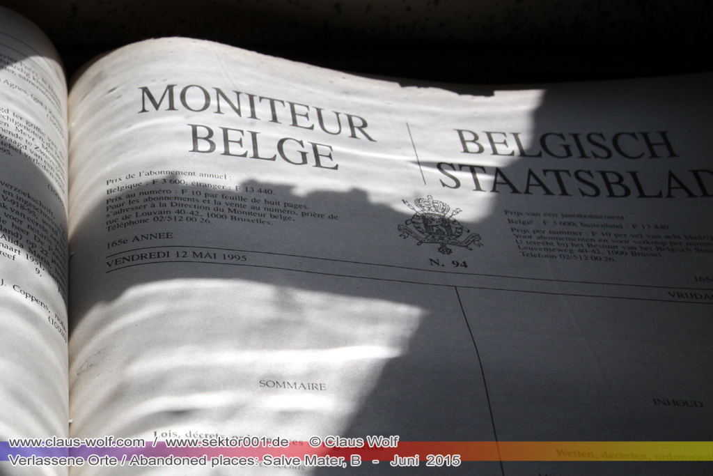 Salve Mater war eine psychiatrische Klinik f�r Frauen im "Groot Park" bei Leuven unweit von Br�ssel. Einst geh�rte das weitl�ufige Anwesen der Familie Spoelberch. Das 1750 errichtete Schloss der Familie ziert noch heute das Zentrum des Parks. Einer der Nachfahren der Familie � Maximilian de Spoelberch, der zwischen 1834 und 1873 B�rgermeister der Stadt Leuven war � hatte eine gro�e Vorliebe f�r Dendrologie. Insofern erweiterte er st�ndig das Anwesen durch Zukauf weiterer Grundst�cke und pflanzte im Park etliche exotische B�ume. Als Maximilian de Spoelberch das Zeitliche segnete hinterlie� er den gesamten Besitz seinen Sohn Charles. Ungl�cklicherweise verstarb dieser 1907 wenige Jahre nachdem er seine Erbschaft antrat, ohne selbst einen Erben zu hinterlassen. Die einzige Erbin, eine entfernte Cousine, schenkte 1915 das Anwesen der Katholischen Universit�t von Leuven. Diese wiederum gab das Geschenk an die "Schwestern der N�chstenliebe" von Gent weiter, die dort eine psychiatrische Klinik errichteten.