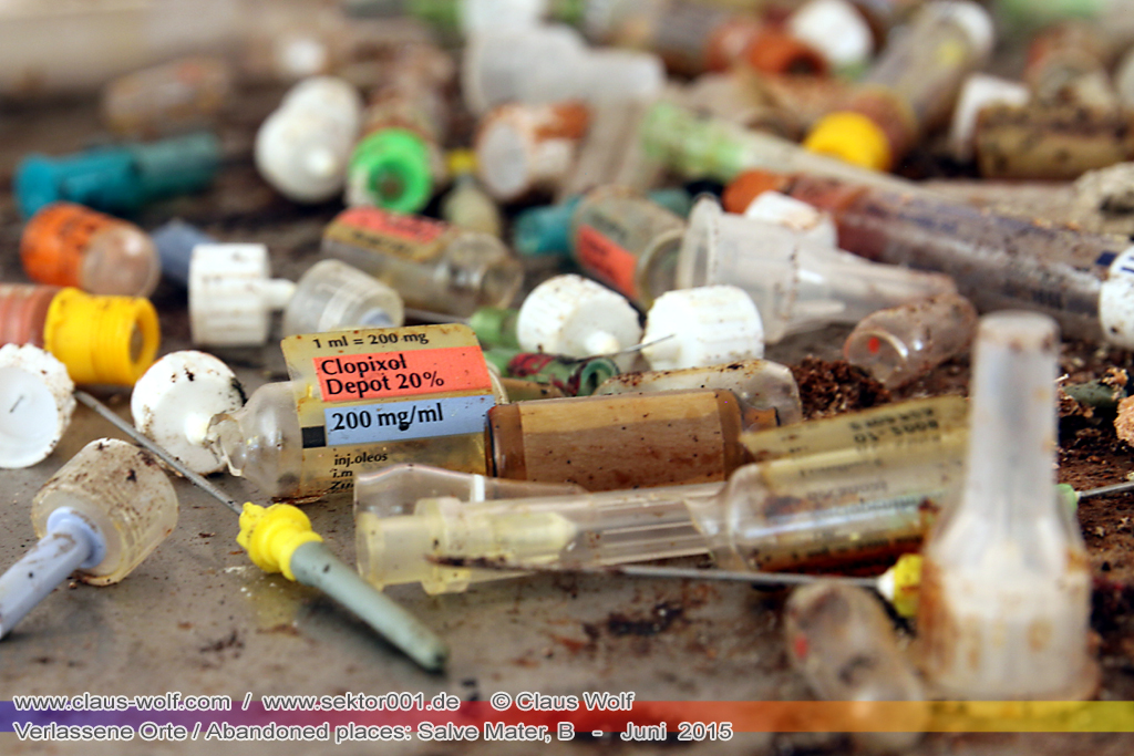 Salve Mater war eine psychiatrische Klinik f�r Frauen im "Groot Park" bei Leuven unweit von Br�ssel. Einst geh�rte das weitl�ufige Anwesen der Familie Spoelberch. Das 1750 errichtete Schloss der Familie ziert noch heute das Zentrum des Parks. Einer der Nachfahren der Familie � Maximilian de Spoelberch, der zwischen 1834 und 1873 B�rgermeister der Stadt Leuven war � hatte eine gro�e Vorliebe f�r Dendrologie. Insofern erweiterte er st�ndig das Anwesen durch Zukauf weiterer Grundst�cke und pflanzte im Park etliche exotische B�ume. Als Maximilian de Spoelberch das Zeitliche segnete hinterlie� er den gesamten Besitz seinen Sohn Charles. Ungl�cklicherweise verstarb dieser 1907 wenige Jahre nachdem er seine Erbschaft antrat, ohne selbst einen Erben zu hinterlassen. Die einzige Erbin, eine entfernte Cousine, schenkte 1915 das Anwesen der Katholischen Universit�t von Leuven. Diese wiederum gab das Geschenk an die "Schwestern der N�chstenliebe" von Gent weiter, die dort eine psychiatrische Klinik errichteten.