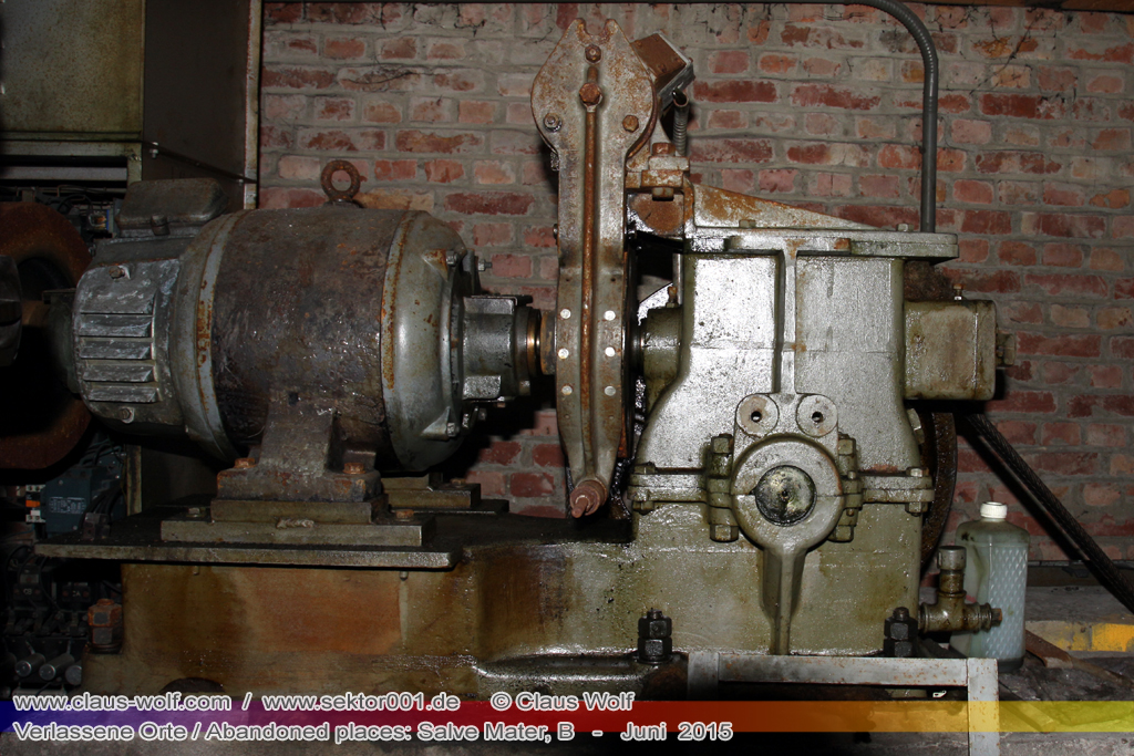 Salve Mater war eine psychiatrische Klinik f�r Frauen im "Groot Park" bei Leuven unweit von Br�ssel. Einst geh�rte das weitl�ufige Anwesen der Familie Spoelberch. Das 1750 errichtete Schloss der Familie ziert noch heute das Zentrum des Parks. Einer der Nachfahren der Familie � Maximilian de Spoelberch, der zwischen 1834 und 1873 B�rgermeister der Stadt Leuven war � hatte eine gro�e Vorliebe f�r Dendrologie. Insofern erweiterte er st�ndig das Anwesen durch Zukauf weiterer Grundst�cke und pflanzte im Park etliche exotische B�ume. Als Maximilian de Spoelberch das Zeitliche segnete hinterlie� er den gesamten Besitz seinen Sohn Charles. Ungl�cklicherweise verstarb dieser 1907 wenige Jahre nachdem er seine Erbschaft antrat, ohne selbst einen Erben zu hinterlassen. Die einzige Erbin, eine entfernte Cousine, schenkte 1915 das Anwesen der Katholischen Universit�t von Leuven. Diese wiederum gab das Geschenk an die "Schwestern der N�chstenliebe" von Gent weiter, die dort eine psychiatrische Klinik errichteten.