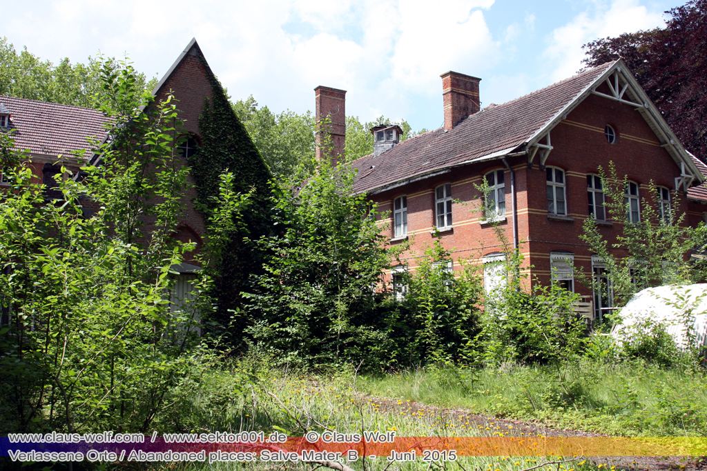 Salve Mater war eine psychiatrische Klinik f�r Frauen im "Groot Park" bei Leuven unweit von Br�ssel. Einst geh�rte das weitl�ufige Anwesen der Familie Spoelberch. Das 1750 errichtete Schloss der Familie ziert noch heute das Zentrum des Parks. Einer der Nachfahren der Familie � Maximilian de Spoelberch, der zwischen 1834 und 1873 B�rgermeister der Stadt Leuven war � hatte eine gro�e Vorliebe f�r Dendrologie. Insofern erweiterte er st�ndig das Anwesen durch Zukauf weiterer Grundst�cke und pflanzte im Park etliche exotische B�ume. Als Maximilian de Spoelberch das Zeitliche segnete hinterlie� er den gesamten Besitz seinen Sohn Charles. Ungl�cklicherweise verstarb dieser 1907 wenige Jahre nachdem er seine Erbschaft antrat, ohne selbst einen Erben zu hinterlassen. Die einzige Erbin, eine entfernte Cousine, schenkte 1915 das Anwesen der Katholischen Universit�t von Leuven. Diese wiederum gab das Geschenk an die "Schwestern der N�chstenliebe" von Gent weiter, die dort eine psychiatrische Klinik errichteten.