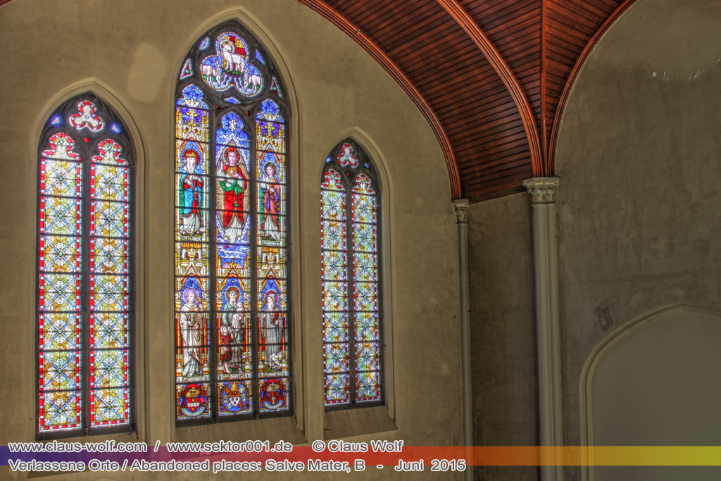 Salve Mater war eine psychiatrische Klinik f�r Frauen im "Groot Park" bei Leuven unweit von Br�ssel. Einst geh�rte das weitl�ufige Anwesen der Familie Spoelberch. Das 1750 errichtete Schloss der Familie ziert noch heute das Zentrum des Parks. Einer der Nachfahren der Familie � Maximilian de Spoelberch, der zwischen 1834 und 1873 B�rgermeister der Stadt Leuven war � hatte eine gro�e Vorliebe f�r Dendrologie. Insofern erweiterte er st�ndig das Anwesen durch Zukauf weiterer Grundst�cke und pflanzte im Park etliche exotische B�ume. Als Maximilian de Spoelberch das Zeitliche segnete hinterlie� er den gesamten Besitz seinen Sohn Charles. Ungl�cklicherweise verstarb dieser 1907 wenige Jahre nachdem er seine Erbschaft antrat, ohne selbst einen Erben zu hinterlassen. Die einzige Erbin, eine entfernte Cousine, schenkte 1915 das Anwesen der Katholischen Universit�t von Leuven. Diese wiederum gab das Geschenk an die "Schwestern der N�chstenliebe" von Gent weiter, die dort eine psychiatrische Klinik errichteten.