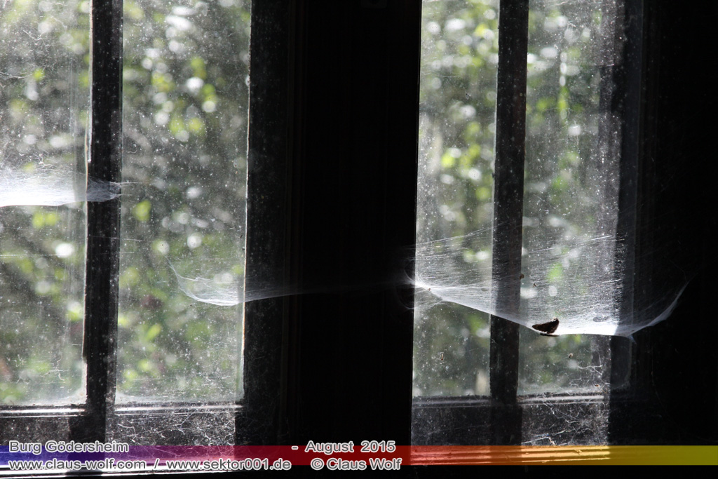 Die Burg G&ouml;dersheim ist die Ruine einer sp&auml;tgotischen Wasserburg wenige Kilometer von Wollersheim entfernt, einem Stadtteil von Nideggen im nordrhein-westf&auml;lischen Kreis D&uuml;ren. Sie befindet sich im Tal des Neffelbaches und steht seit dem 22. Oktober 1993 unter Denkmalschutz. &nbsp; Als mit dem Tod Regine Petronellas von Merode die Familienlinie 1826 erlosch, kam die Burg G&ouml;dersheim � ebenso wie die Burg J&uuml;ngersdorf � per Erbschaft an die Familie des D&uuml;sseldorfer Rentmeisters Graef, dessen Erben den Besitz in mehreren Teilen verkauften. Die Burg erwarb die Familie Meiss aus Wollersheim. Einige ihrer Mitglieder bewohnten das Burghaus noch bis zum Jahr 1865, dann verfiel die Anlage allm&auml;hlich und wurde zur Ruine. &nbsp; Um die Ruine stand von 1959 bis in das 21. Jahrhundert eine Au�enstelle der Rheinischen Kliniken D&uuml;ren. Eigent&uuml;mer der Burgruine und des umliegenden Gel&auml;ndes ist der Landschaftsverband Rheinland.