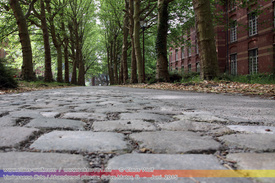 Verlassene Orte, Abandoned places (Salve Mater) 102