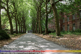 Verlassene Orte, Abandoned places (Salve Mater) 103