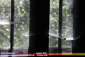 Verlassene Orte, Abandoned places (unsortiert) 106