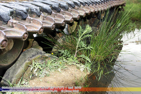 Rostiges, Verlassene Wracks / Abondoned Wrecks 108