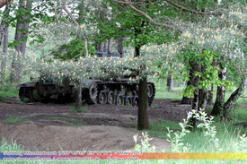 Rostiges, Verlassene Wracks / Abondoned Wrecks 211