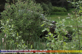 Rostiges, Verlassene Wracks / Abondoned Wrecks 212