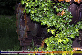 Rostiges, Verlassene Wracks / Abondoned Wrecks 309