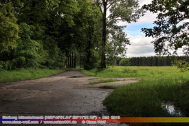 Rostiges, Verlassene Wracks / Abondoned Wrecks 310