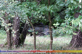 Rostiges, Verlassene Wracks / Abondoned Wrecks 406