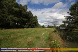 Rostiges, Verlassene Wracks / Abondoned Wrecks 501