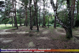 Rostiges, Verlassene Wracks / Abondoned Wrecks 611