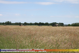 Rostiges, Verlassene Wracks / Abondoned Wrecks 713