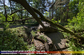 Rostiges, Abondoned Wrecks 1113