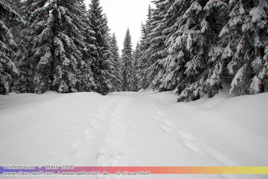 Reit im Winkel und Umgebung