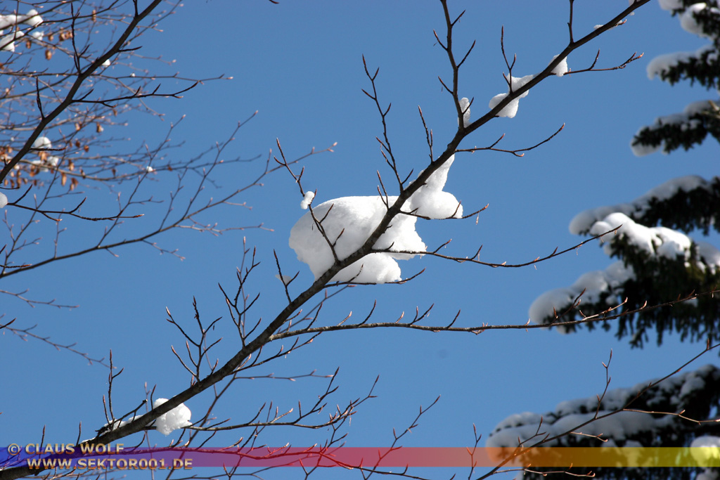 Reit im Winkel und Umgebung