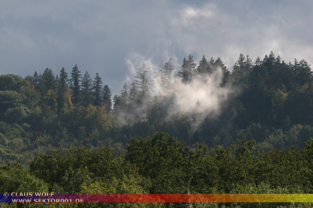Talwald unterhalb der Burgruine Teck, nach dem Regen