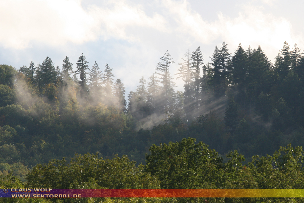 Talwald unterhalb der Burgruine Teck, nach dem Regen