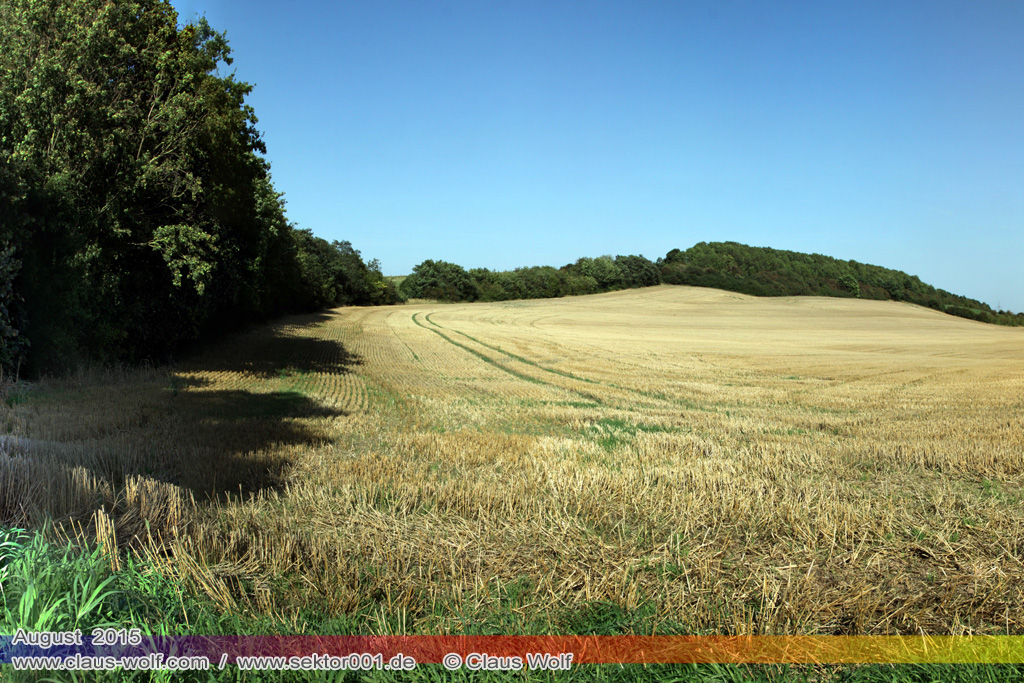 abgeerntetes Feld