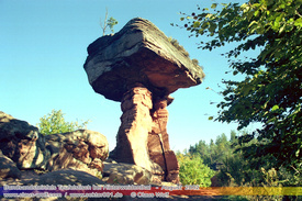 102 - Der Hinterweidenthaler Teufelstisch ist ein 14 m hoher Pilzfelsen im deutschen Teil des Wasgaus, dem s�dlichen Pf�lzerwald (Rheinland-Pfalz). Wegen seiner Lage auf der Gemarkung des fr�her zu Wilgartswiesen geh�renden Ortsteils Kaltenbach wird er � vor allem in der �lteren Literatur � auch Kaltenbacher Teufelstisch genannt. Er ist gr��er und weitaus bekannter als der Teufelstisch von Salzwoog, der nur 5 km s�dwestlich gelegen ist. Der Hinterweidenthaler Teufelstisch z�hlt zu den landschaftlichen Wahrzeichen der Pfalz (Naturdenkmalnummer: ND-7340-241) und ist auch Gegenstand einer �rtlichen Sage.