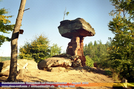 103 - Der Hinterweidenthaler Teufelstisch ist ein 14 m hoher Pilzfelsen im deutschen Teil des Wasgaus, dem s�dlichen Pf�lzerwald (Rheinland-Pfalz). Wegen seiner Lage auf der Gemarkung des fr�her zu Wilgartswiesen geh�renden Ortsteils Kaltenbach wird er � vor allem in der �lteren Literatur � auch Kaltenbacher Teufelstisch genannt. Er ist gr��er und weitaus bekannter als der Teufelstisch von Salzwoog, der nur 5 km s�dwestlich gelegen ist. Der Hinterweidenthaler Teufelstisch z�hlt zu den landschaftlichen Wahrzeichen der Pfalz (Naturdenkmalnummer: ND-7340-241) und ist auch Gegenstand einer �rtlichen Sage.