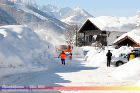 Natur: Pflanzen, Pilze, Flechten, Farne, Landschaften 108