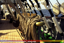 Maritim, Segelschiffe, Tallships 205