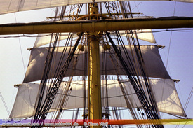 Maritim, Segelschiffe, Tallships 207