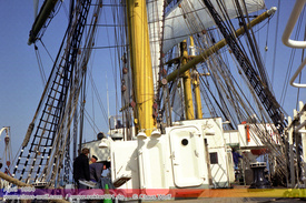 Maritim, Segelschiffe, Tallships 211