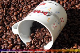 TableTop, Still-Life Studio 111